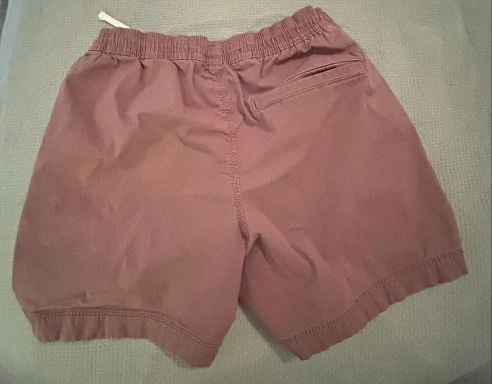 Hollister Jogger Shorts Size XS